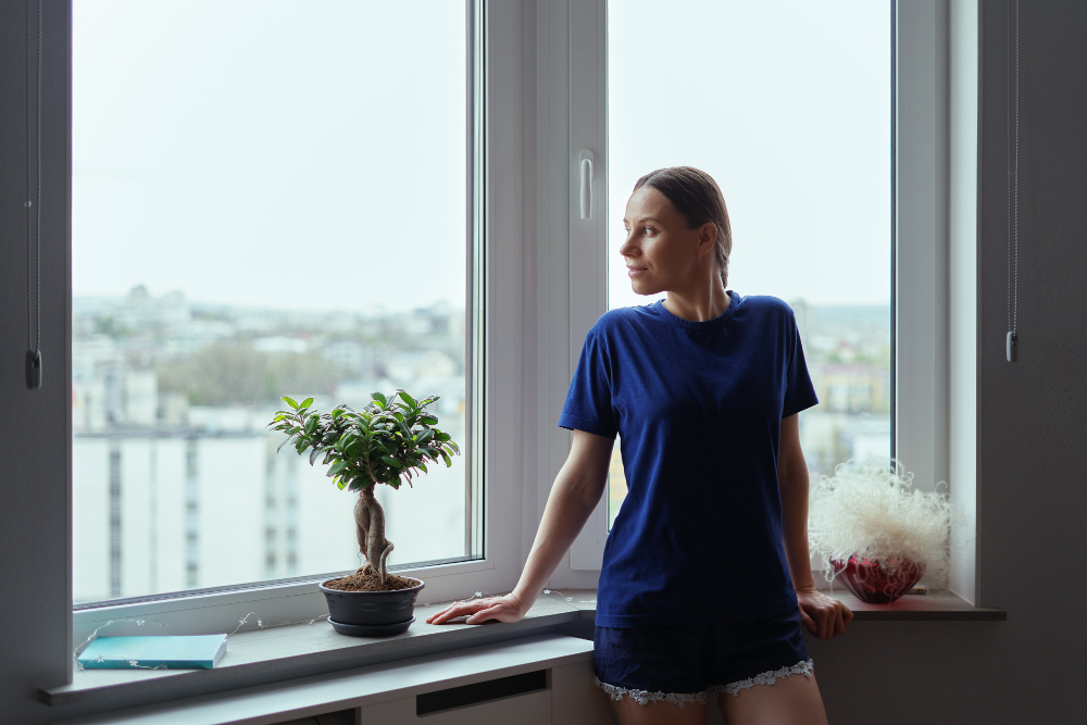 Traverse City Window Styles
